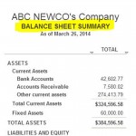08-Balance Sheet Summary